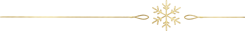 divider-2