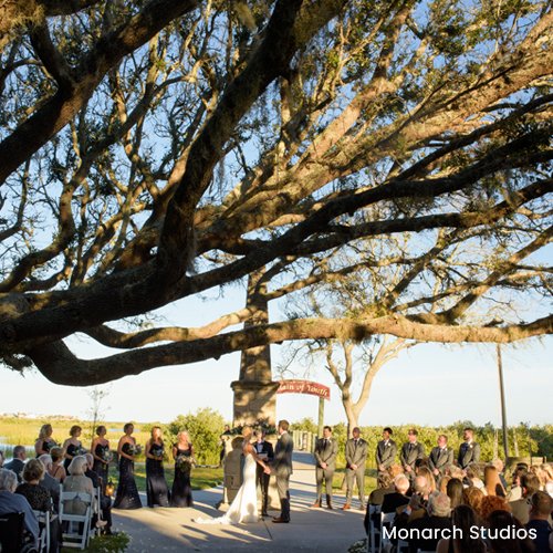 The Love Tree Ceremony Location at The Fountain of Youth